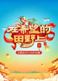 《2024安徽农民春晚》：乡土气息浓郁，展现新时代农民新风貌