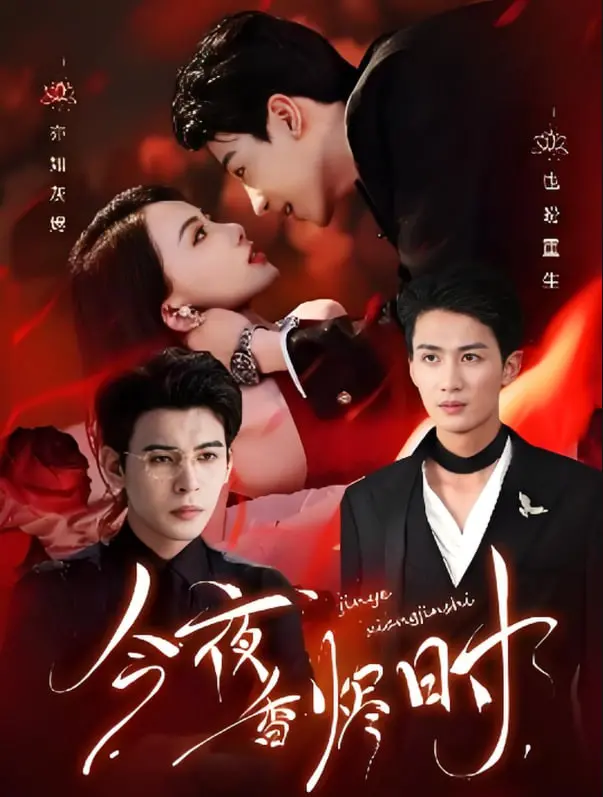 今夜香烬时：浪漫与悲伤的交织，如何在时光中寻找真爱？