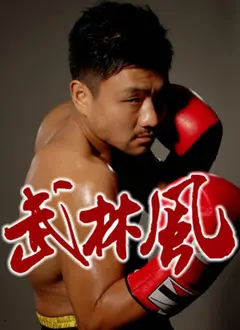 《武林风2017》：热血格斗，力量与技巧的巅峰对决！谁将问鼎王者？