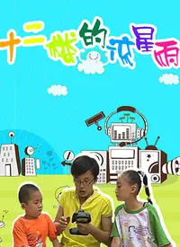 《十二楼的流星雨第一部》：青春群像的闪耀时刻，用梦想点亮成长之路