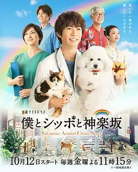 《我与尾巴与神乐坂》：温暖治愈的人宠情缘，在神乐坂小巷里寻觅最真的陪伴